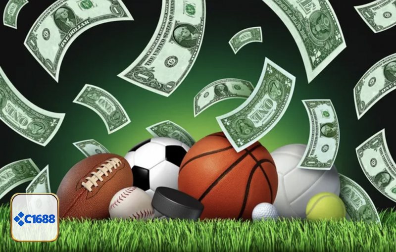 Kèo Châu Âu - Cấu trúc bảng kèo trên giao diện C1688 Kèo Châu Âu - Cấu trúc bảng kèo trên giao diện C1688